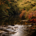 Linville River Autumn